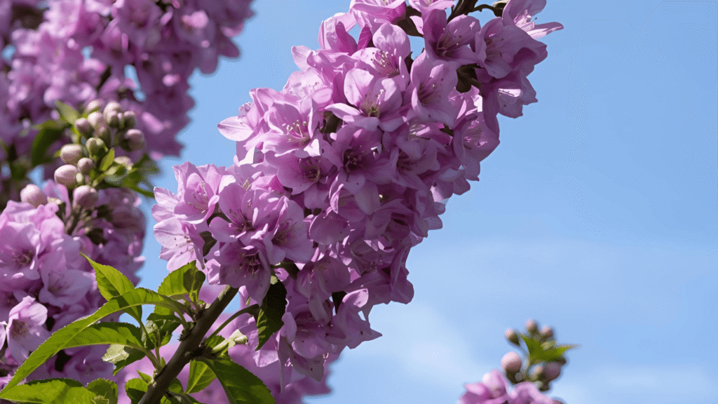 Beekeeping & Products Includes • planting Paulownia as a nectar-rich base for apiaries; • organizing bee zones near plantations; • producing honey, wax, and pollen; • making natural candles, (14)